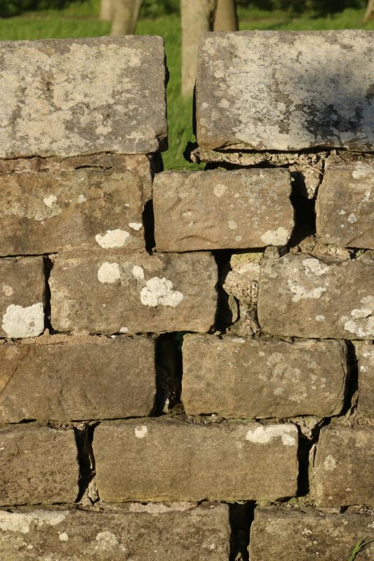 Rock Wall Repair in Dothan, AL